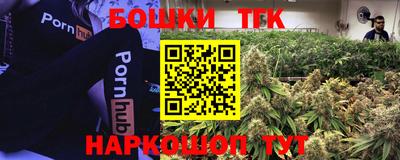 альфа пвп Заводоуковск