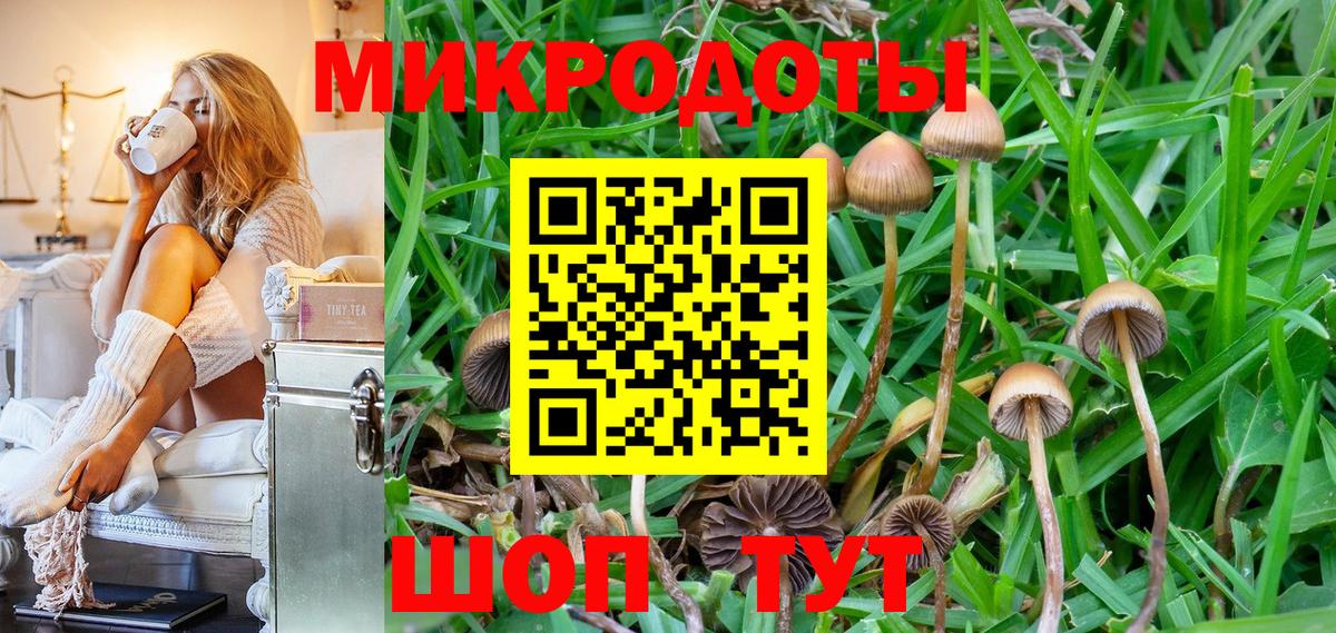 Магнитогорск  Псилоцибиновые грибы мухоморы  Вход с VPN 